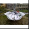 Other  Topper ISO Skiff Jolle Picture 6 